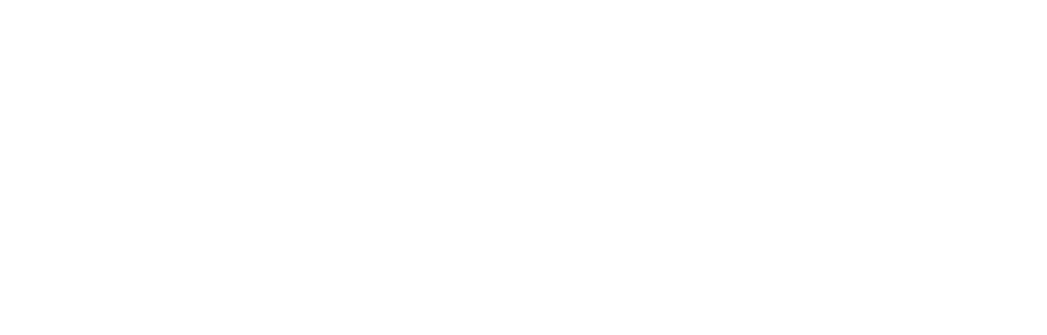 Attività anni 2020 - 2022 A causa del Coronavirus COVID 19, tutte le attività del 2020 sono state sospese.     2019 Un anno intenso di attività con numerosi eventi (nr. 25 diversi eventi con 28 giornate vissute sul campo).      2018 anno molto intenso, con 21 eventi e 33 giornate vissute sul campo