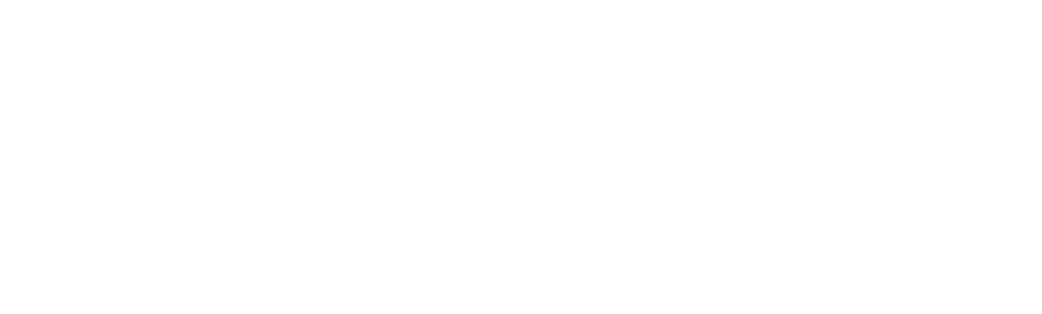 2017 Un anno dedicato quasi interamente ad eventi medioevali.     2016 Numerosi eventi dedicati alla promozione del pittore albinese Giambattista Moroni.     Anni 2011 - 2015 Dalla nascita dell’Associazione nel 2008, un crescendo di impegni e di qualità