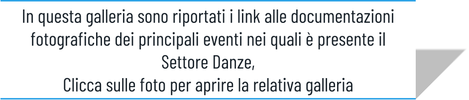 In questa galleria sono riportati i link alle documentazioni fotografiche dei principali eventi nei quali è presente il Settore Danze,  Clicca sulle foto per aprire la relativa galleria